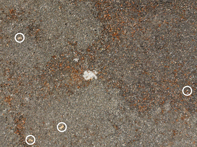 bodenbild02