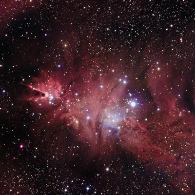 Ngc 2264 Apo115x800 650d 10x300s 3x480s 0400