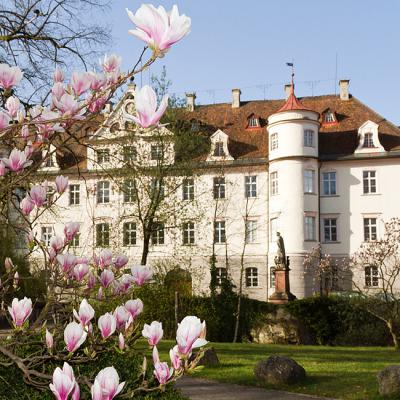 Schloss 01