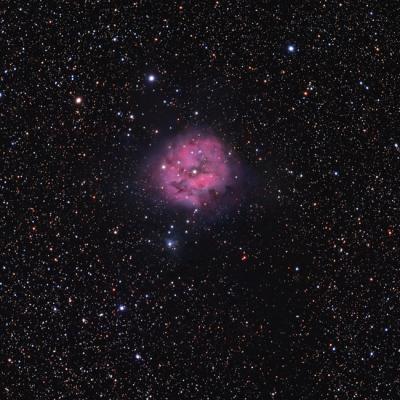 Ic 5146 Apo115x800 650d 25x4 1600iso