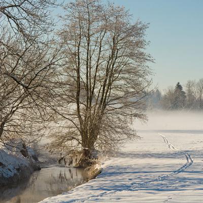 Winter 04