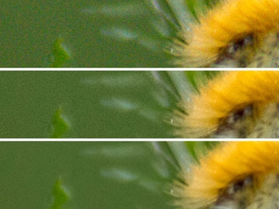 Camera-Raw: Rauschen entfernen